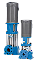 Berkeley vertical booster pumps